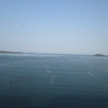 ホテルからの志津川湾です。