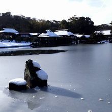 凍っていました。