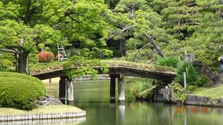 渡ることはできません！見るだけです！