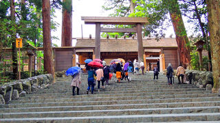 平日でも人多し！