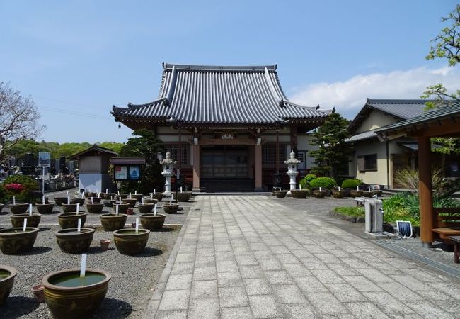 代通寺