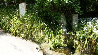 海蔵寺の近くにある古い井戸
