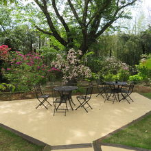 お庭がきれいです