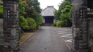 緑豊かな境内です