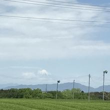 ５月４日撮影・サービスエリア過ぎの新茶時期の茶畑・富士山