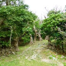 広場の奥にある坂道を登って行きます。