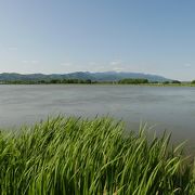 夏もきれいな風景です