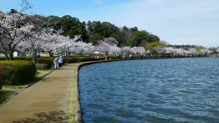 いつ行っても癒やされる水辺です。