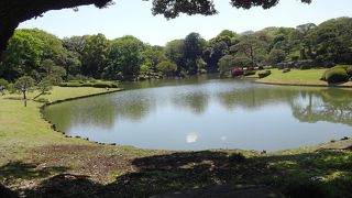 ツツジの植え込みと芝生と池がマッチしてきれい。