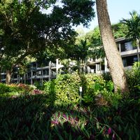 外から見た客室