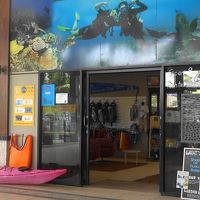 シュノーケリングだけならここでOK