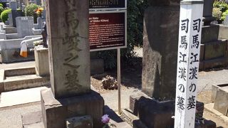 蘭学者で、画家として名を残す。