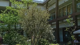 テラス席が気持ちいいです