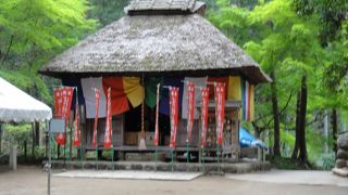 薬師如来に祈願