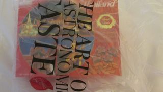 土産用のチョコレートを購入