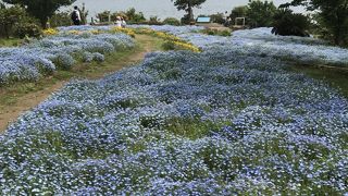こじんまりしてますが綺麗です