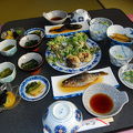 春の人気　天然の山菜料理をいただく