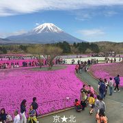 富士山がクリアに見えるまで待とう！