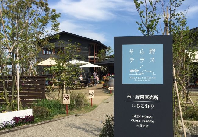 素材を生かしたランチ。