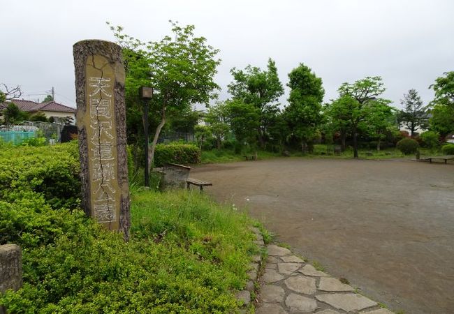 天間沢遺跡