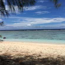 木陰のベンチからの景色。ホワーーーと癒されるよね。。