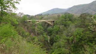 時間が早かったので駐車場もがらがら