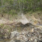 温泉天国っぽい地獄