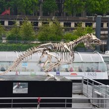 レセプションの建物の上にいるシルバーのティラノサウルス