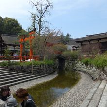 みずみくじをぬらす池？