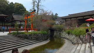 糺の森に囲まれた社