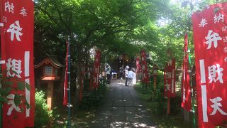 庭の緑が鮮やか