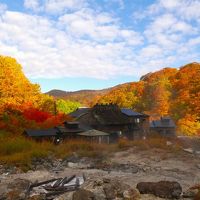 紅葉が良かった