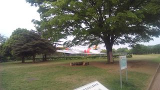 自然豊かな入園無料の広い公園