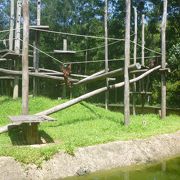 家族でのんびりできる動物園