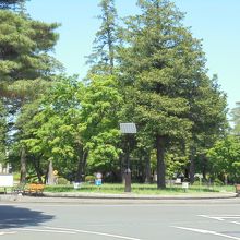 表門を入るとロータリーになっています