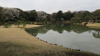 絶景ポイントの一つ