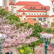 　花のみち　憩いの場ですね！お花が　咲いていて　癒されます。