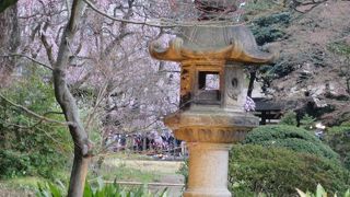 見どころの一つ