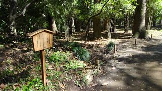 やっぱり凄い、公園の中に馬の練習場。