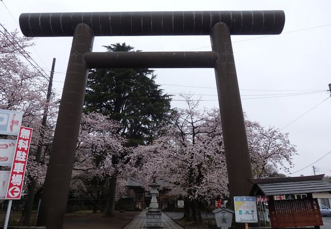 大宝八幡宮本殿 クチコミ アクセス 営業時間 結城 下妻 フォートラベル