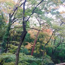 部屋から見た景色