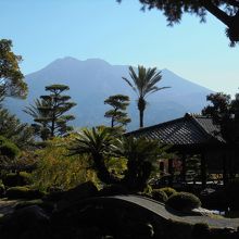 桜島の姿が美しい