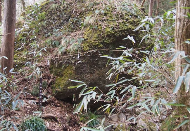 登山道の左側に結構な存在感とともに