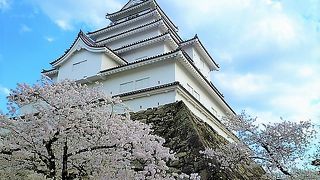 お城(23万石！)で 桜が取り囲んでいます