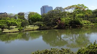 染井門も開いていて便利だった。