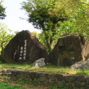 新緑がまぶしい公園