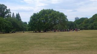 都会のオアシス