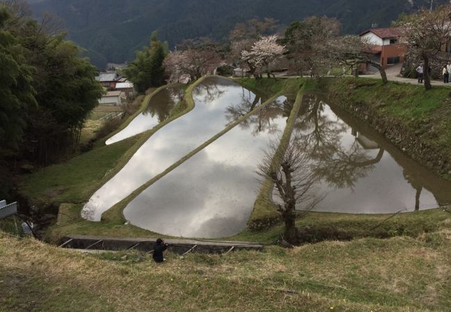 里山の風景が美しい