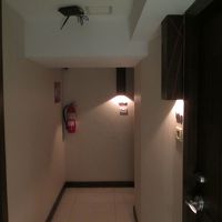 パラディソ ブティック スイーツ