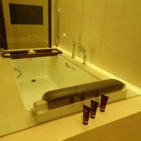 テレビ付きバスタブ、シャワー室は後方。二人ぐらい入れる広さ